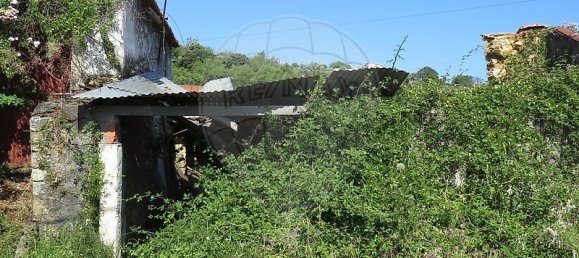 4 Schlafzimmer Haus in Tomar, Portugal, Nr. 22150 8