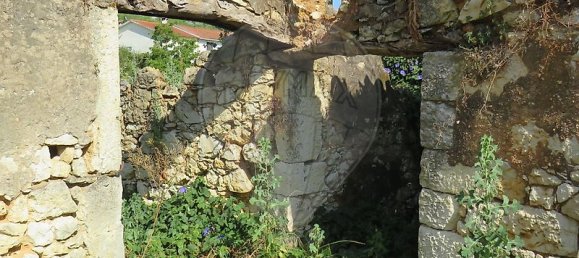 4 Schlafzimmer Haus in Tomar, Portugal, Nr. 22150 16