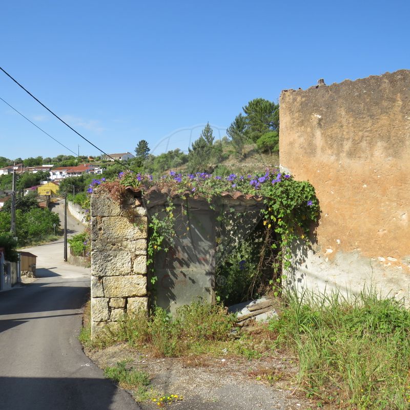 4 Schlafzimmer Haus in Tomar, Portugal, Nr. 22150