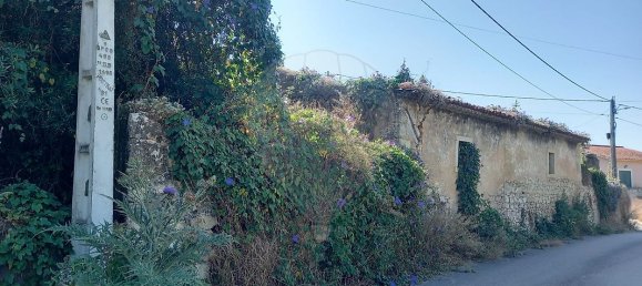 4 Schlafzimmer Haus in Tomar, Portugal, Nr. 22150 2