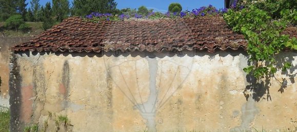 4 Schlafzimmer Haus in Tomar, Portugal, Nr. 22150 18