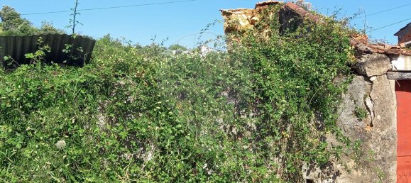 4 Schlafzimmer Haus in Tomar, Portugal, Nr. 22150 10