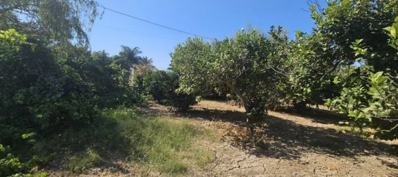 Grundstück in Campanillas, Spain 800m², Nr. 167120 10