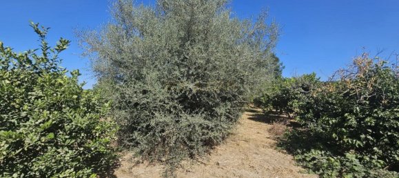 Grundstück in Campanillas, Spain 800m², Nr. 167120 38