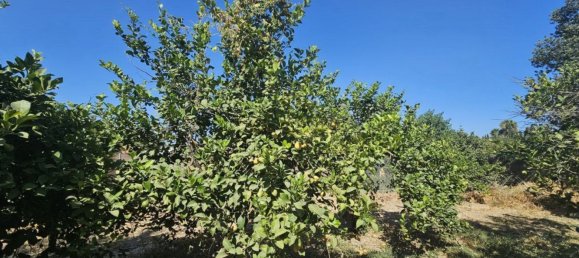 Grundstück in Campanillas, Spain 800m², Nr. 167120 14