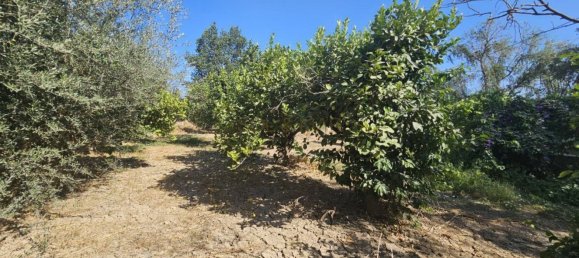 Grundstück in Campanillas, Spain 800m², Nr. 167120 37