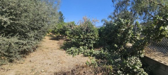 Grundstück in Campanillas, Spain 800m², Nr. 167120 16