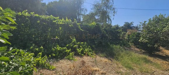 Grundstück in Campanillas, Spain 800m², Nr. 167120 33