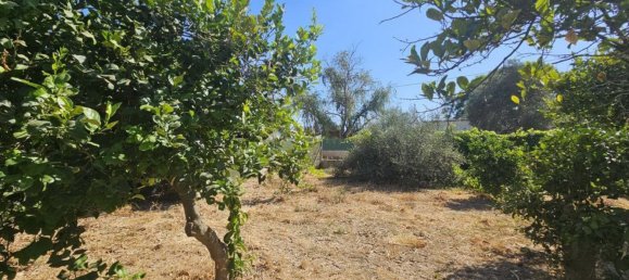 Grundstück in Campanillas, Spain 800m², Nr. 167120 32