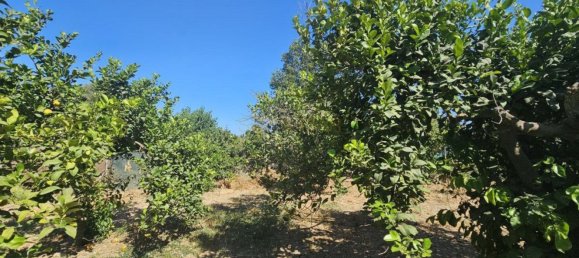 Grundstück in Campanillas, Spain 800m², Nr. 167120 26