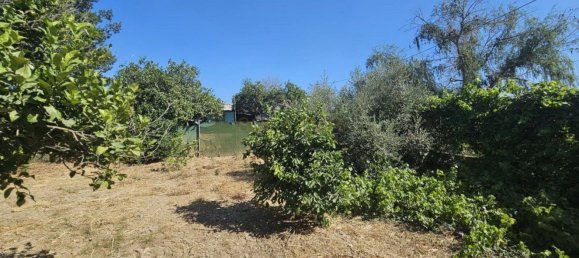 Grundstück in Campanillas, Spain 800m², Nr. 167120 5