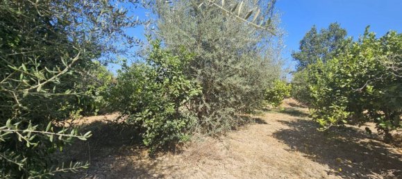 Grundstück in Campanillas, Spain 800m², Nr. 167120 19