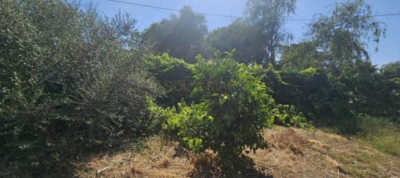 Grundstück in Campanillas, Spain 800m², Nr. 167120 3