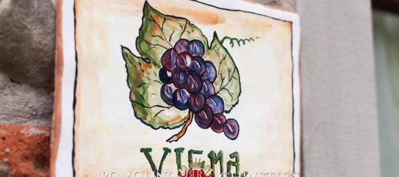 14 Schlafzimmer Haus in Figline e Incisa Valdarno, Italy, Nr. 188364 37