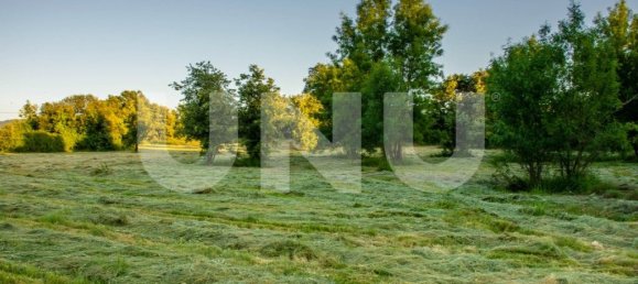 15500m² Land in Fundao, Portugal No. 77028 6