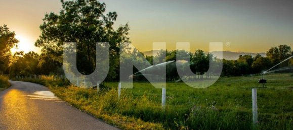 15500m² Land in Fundao, Portugal No. 77028 7