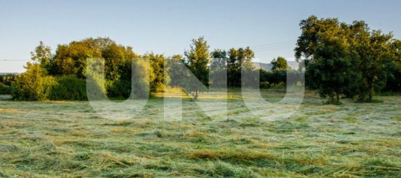 15500m² Land in Fundao, Portugal No. 77028 5