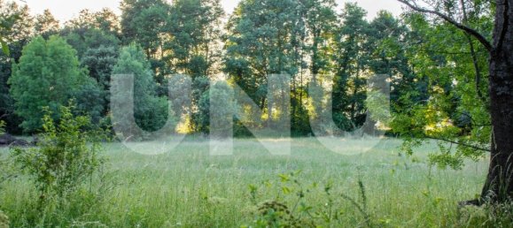 15500m² Land in Fundao, Portugal No. 77028 3