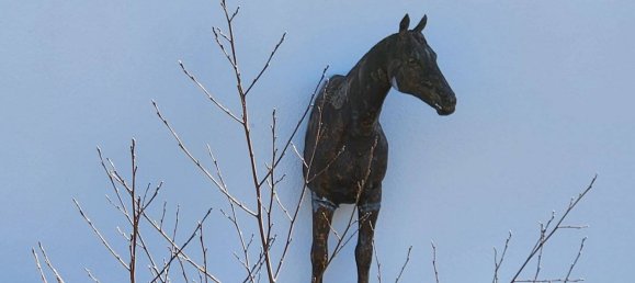  بناية في Hochsauerlandkreis, Germany 2709متر مربع رقم 309976 22