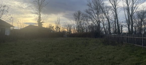 Terrain à Apetlon, Austria No. 209852 7