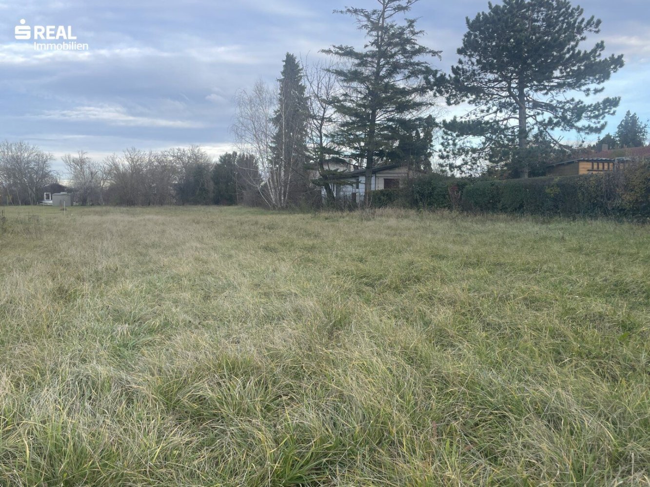 Terrain à Apetlon, Austria No. 209852