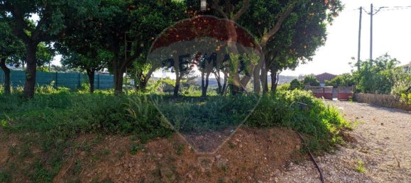 Дом с 2 спальнями в Томар, Португалия № 30411 6