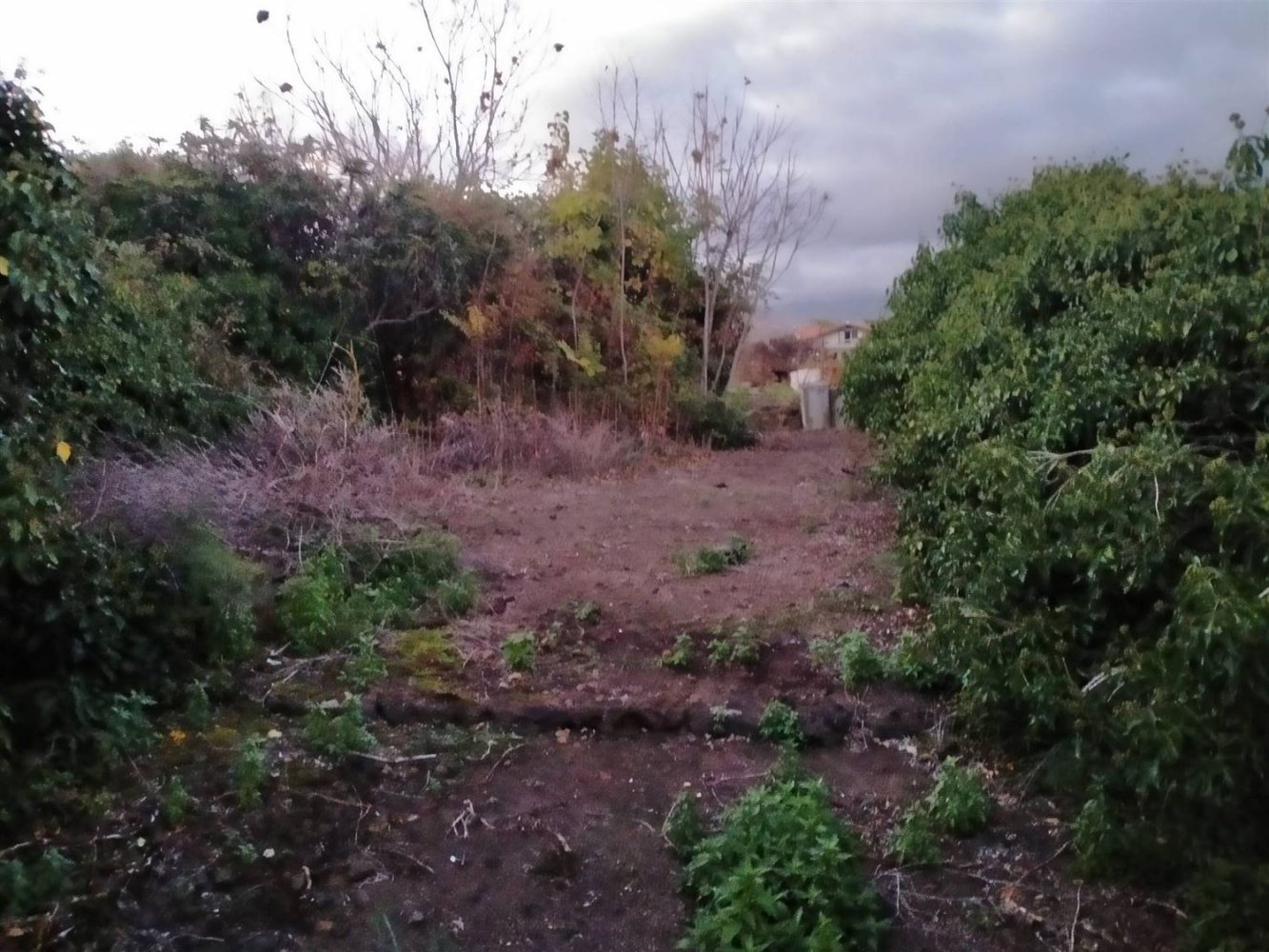 Grundstück in San Giovanni la Punta, Italy 5000m², Nr. 280346