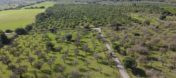 4 rooms House in Noto, Italy No. 190422 4