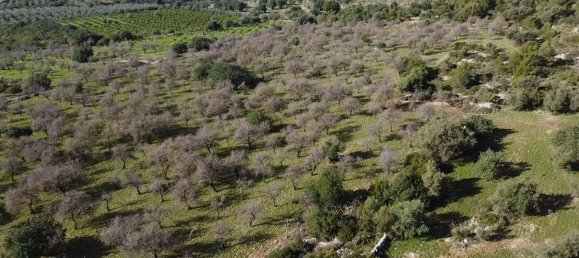 4 rooms House in Noto, Italy No. 190422 2