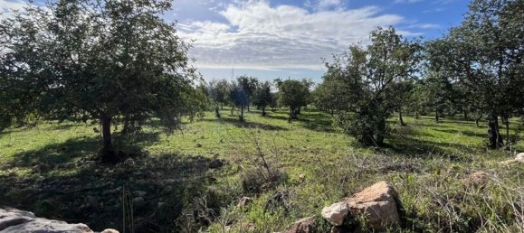 4 rooms House in Noto, Italy No. 190422 5