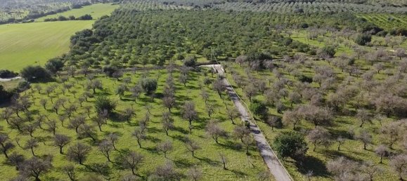 4 rooms House in Noto, Italy No. 190422 39