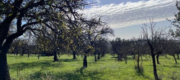 4 rooms House in Noto, Italy No. 190422 3
