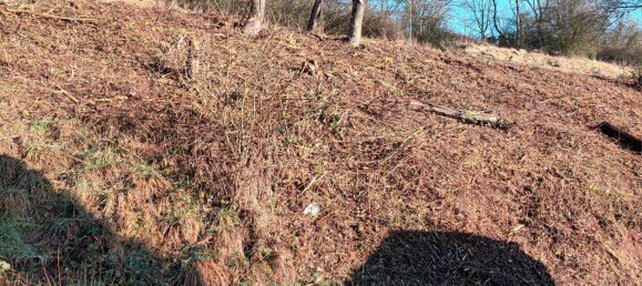 Земельный участок в Вормс, Германия № 338930 7