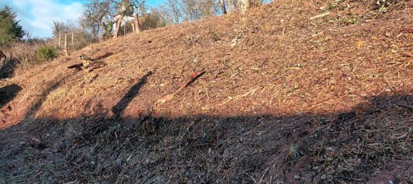 Земельный участок в Вормс, Германия № 338930 6