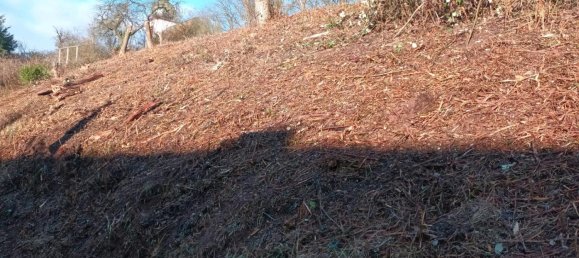 Земельный участок в Вормс, Германия № 338930 5