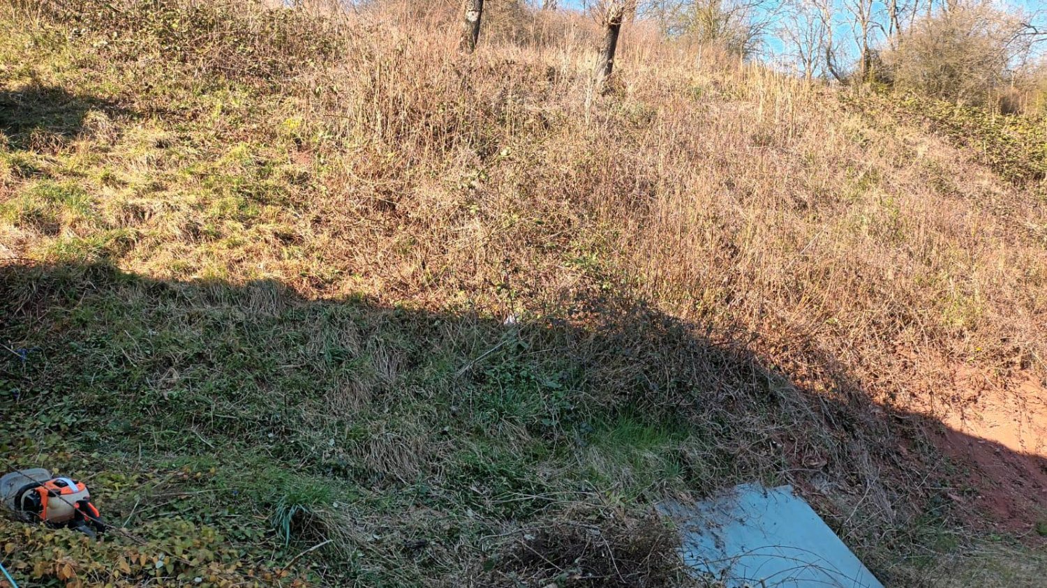 Земельный участок в Вормс, Германия № 338930