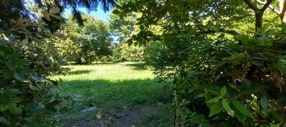 5 rooms House in Montaione, Italy No. 35181 29