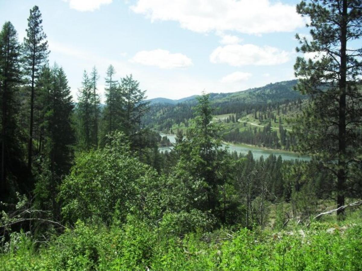  قطعة أرض في Northport, USA رقم 484682