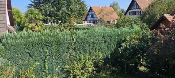 4 bedrooms House in Beinheim, France No. 47750 51