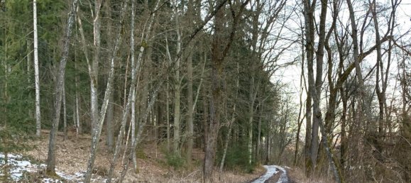 Terreno en Wildon, Austria 42645 m² No. 128077 5