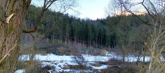 Terreno en Wildon, Austria 42645 m² No. 128077 4