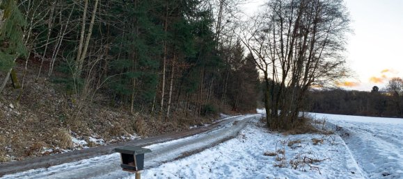 Terreno en Wildon, Austria 42645 m² No. 128077 3