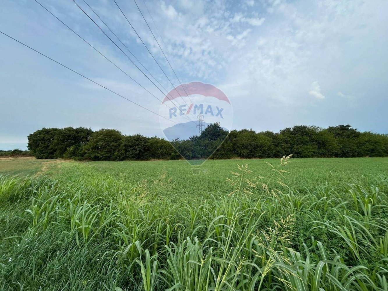 2440m² Land in Castiglione delle Stiviere, Italy No. 382214