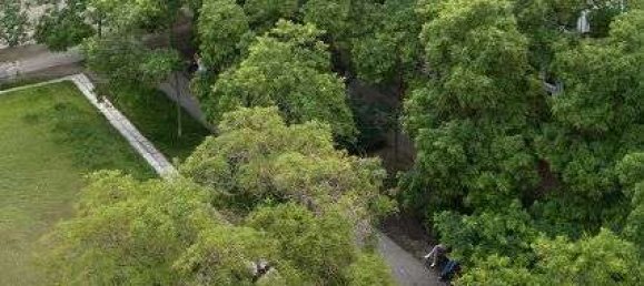 3 bedrooms Apartment in Mitte, Germany No. 233078 18