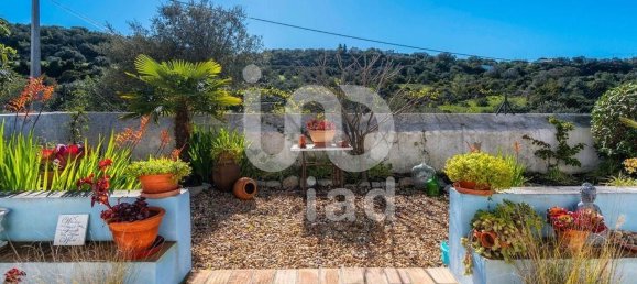 4 bedrooms House in Sao Bras de Alportel, Portugal No. 128685 4