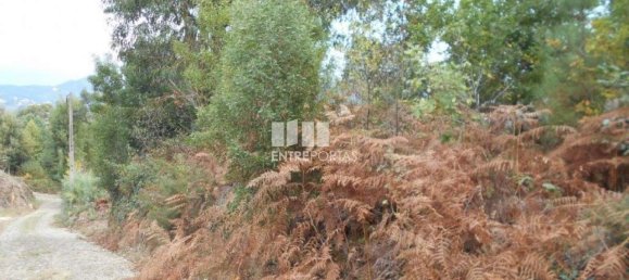 6017m² Land in Caminha, Portugal No. 97615 9