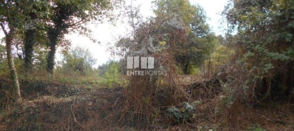 6017m² Land in Caminha, Portugal No. 97615 8