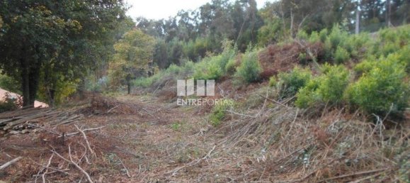 6017m² Land in Caminha, Portugal No. 97615 4