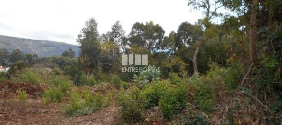 6017m² Land in Caminha, Portugal No. 97615 7