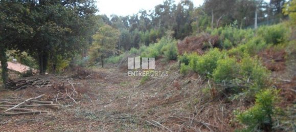 6017m² Land in Caminha, Portugal No. 97615 6